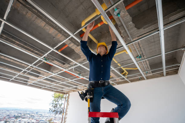 Best Local Plumber Services  in Black Creek, WI